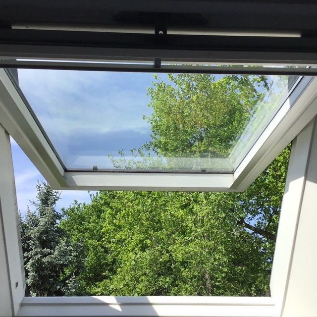 Dachfenster-Service in Dresden
